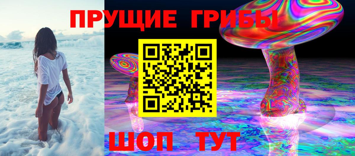 Псилоцибиновые грибы ЛСД Саяногорск
